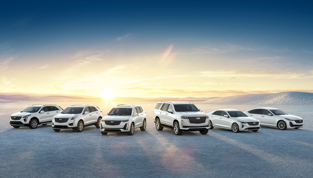 Cadillac SUVs and sedans in the desert at sunset