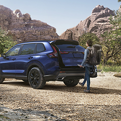 An interior shot of a person driving a Honda SUV