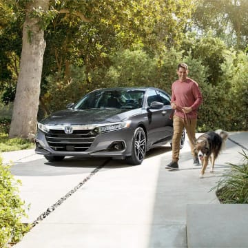 Silver Accord owner walking past car with dog