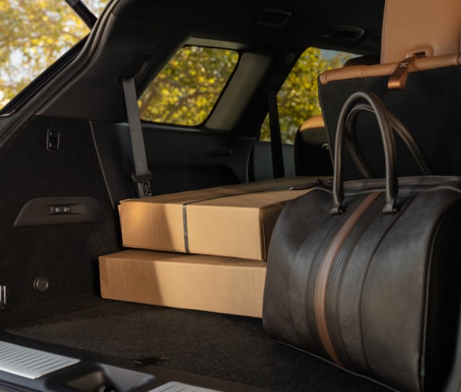 2025 INFINITI QX60 cargo space