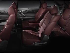 Mazda CX-9 CARBON EDITION interior