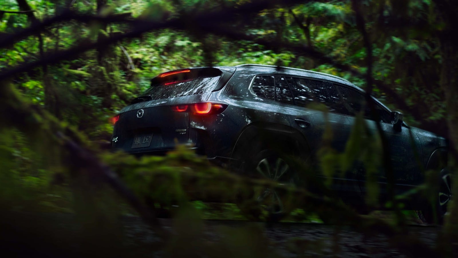 Upward angled shot of CX-50 parked on a forest road