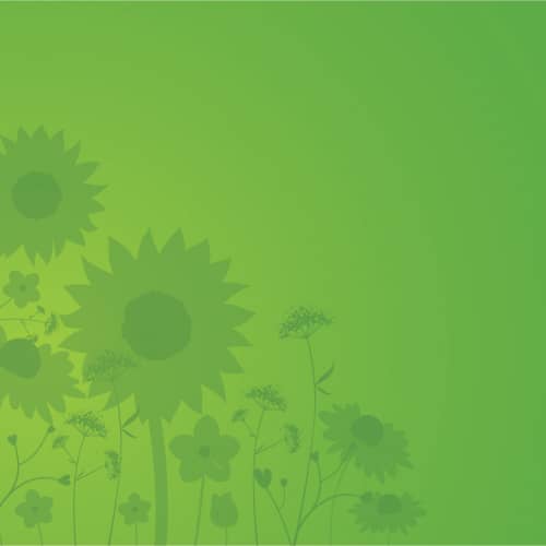 A green-themed image featuring different kinds of flowers