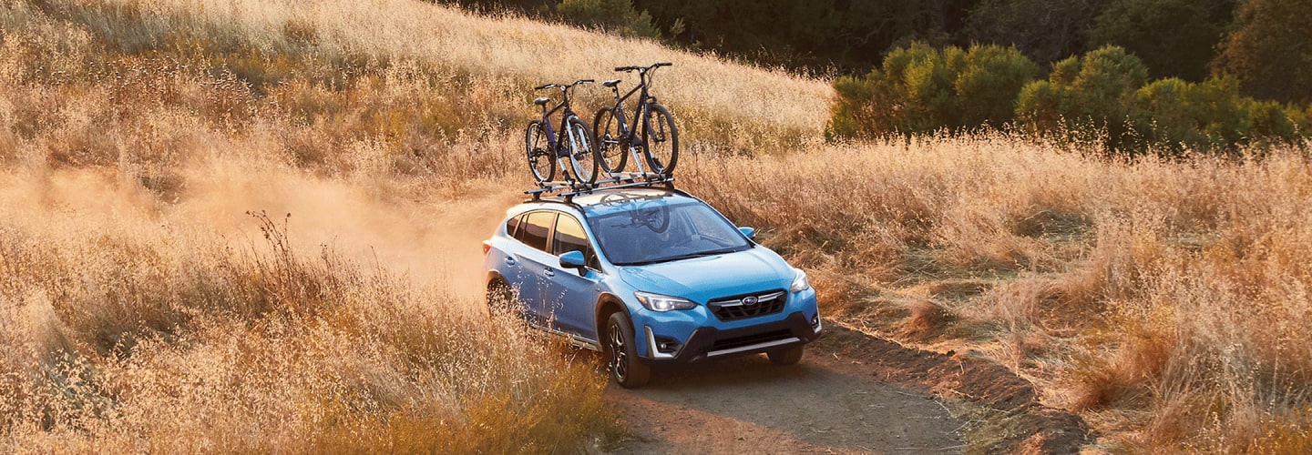 2019 subaru crosstrek online roof rack weight limit